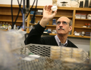 破解激活的在线短信轰炸机