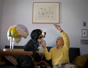 在线打电话免费网页版