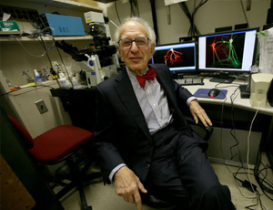 秋思短信轰炸平台